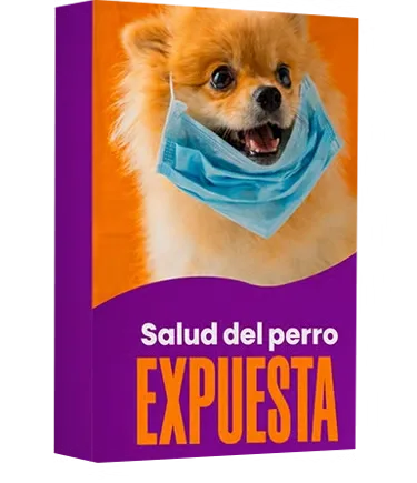 La salud del perro al descubierto